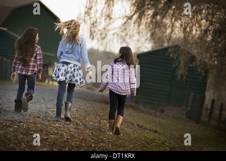 Three children walking along a path on an organic farm Stock Photo