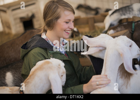 A woman in a stable on an organic farm White and black goats Stock Photo