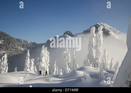 Two hikers enjoy a blue bird day in the middle of winter in the snow covered Cascade Mountains Stock Photo