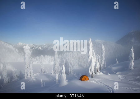 A bright orange tent among snow covered trees on a snowy ridge overlooking a mountain in the distance Stock Photo