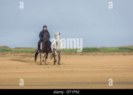 Young boy horseback riding on Longufjorur beach, Snaefellsnes Peninsula, Iceland Stock Photo