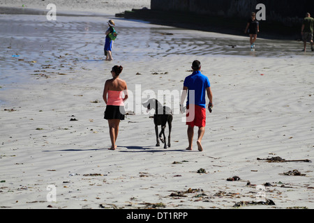 Couple walking their Great Dane(Canis lupus familiaris) along the beachfront at Kleinbaai, Blouberg. Stock Photo