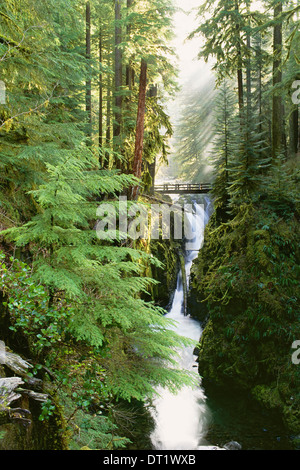 Sol Duc Falls are in the forest of Olympic National Park Washington State Stock Photo