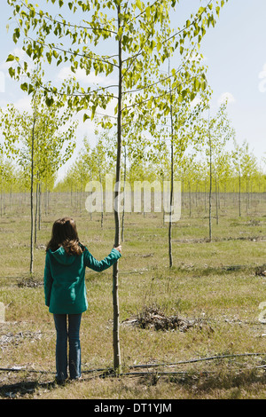 Ten year old girl standing next to commercially grown poplar tree on large tree farm near Pendleton Oregon Stock Photo