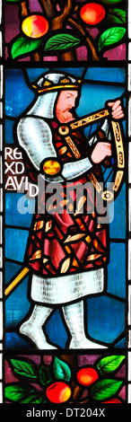 The righteous King David depicted in stained glass in St. James Church, Winscombe, Somerset, England Stock Photo