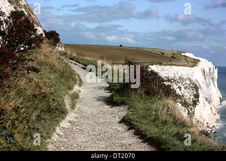 a view of the white cliffs of Dover seen from the footpath leading up to the top of the cliffs Stock Photo