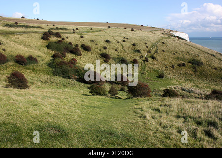a view of the hills and  meadows along the top of the white cliffs Stock Photo