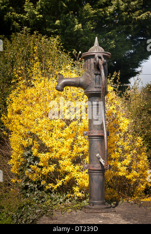 Old cast iron village water pump in UK Stock Photo