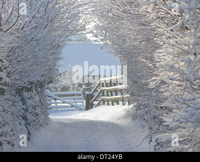 Winter Wonderland - snowy country lane Stock Photo