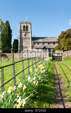 Daffodils at St Wilfrid's Church in Spring, Mobberley, Cheshire, England, UK Stock Photo