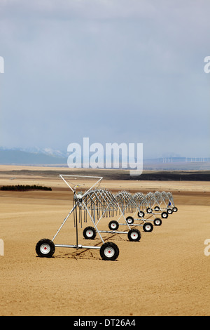 An early morning view of a newly installed center pivot sprinkler system. Stock Photo