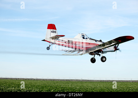 An agricultural crop duster flies low over potato field, spraying for late blight. Stock Photo