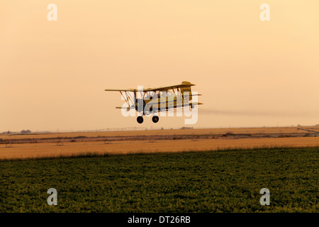 A sunrise view of a crop duster spraying green farmland. Stock Photo