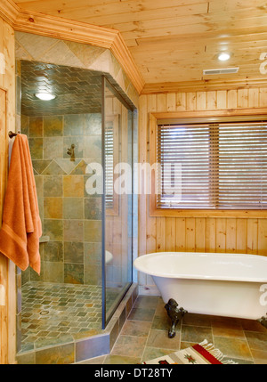 Claw foot tub apinend shower, Stock Photo