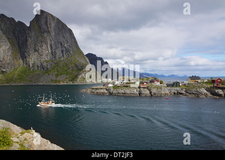 Traditional norwegian fishing boat surrounded by seagulls sailing through fjord Stock Photo