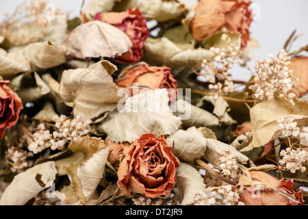 Detail of bouquet of dried roses with leaves. Stock Photo