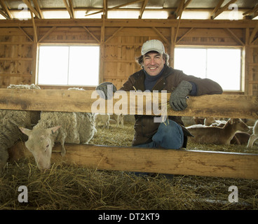 An Organic Farm in Winter in Cold Spring New York State A family working caring for the livestock Farmer and sheep in a pen Stock Photo
