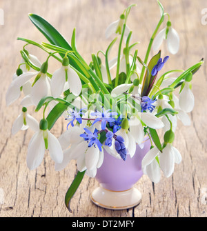 snowdrops in vase on old wood Stock Photo