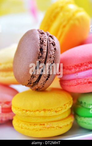 Colorful macaroons shoot in studio Stock Photo