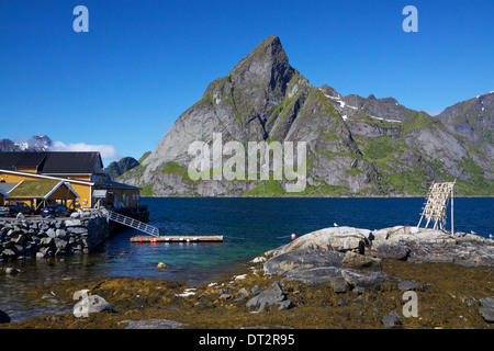 Stockfish, Norway - Stock Image - C009/7686 - Science Photo Library