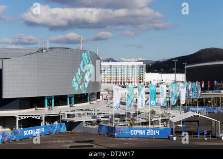 Sochi, Russia. 6th Feb, 2014. The XXII Winter Olympic Games 2014 in Sotchi, Olympics, Olympische Winterspiele Sotschi 2014 The Adler Arena, Credit:  dpa picture alliance/Alamy Live News Stock Photo