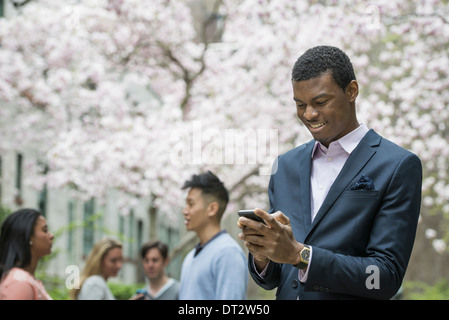 View over citycity park A man checking his cell phone Four people in the shade of a cherry blossom tree Stock Photo