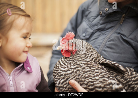A woman holding a black and white chicken with a red coxcomb A young girl beside her holding closely at the chicken Stock Photo