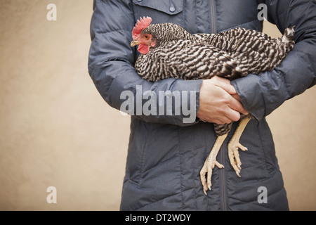 A woman wearing a grey coat and holding a chicken Stock Photo