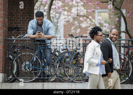 A bicycle rack with locked bicycles, a man texting and a couple walking by. Stock Photo