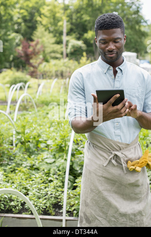 A man using a digital tablet Stock Photo