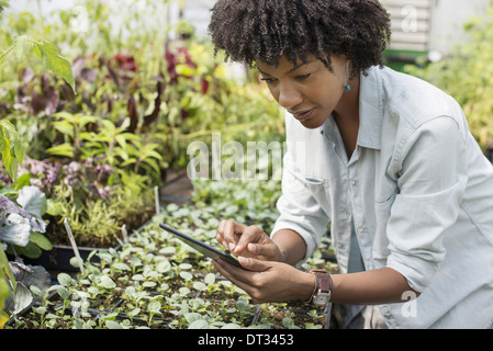 A woman holding a digital tablet Stock Photo