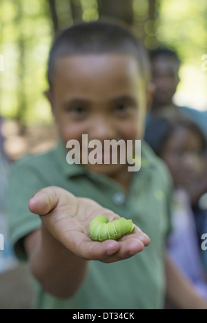 A boy holding a fat green caterpillar Stock Photo