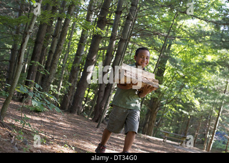 Summer A boy carrying firewood through the woods Stock Photo