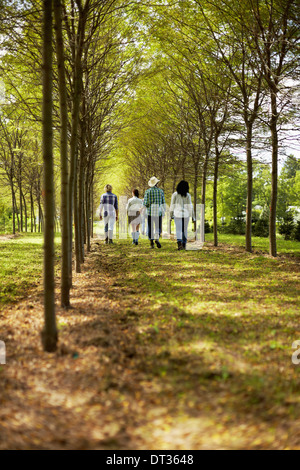 A group of friends walking down an avenue of trees in woodland Stock Photo