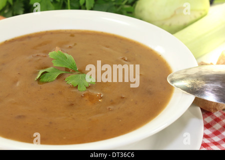 Oxtail soup with beef on a light background Stock Photo