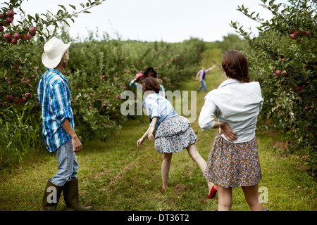 Rows of fruit trees in an organic orchard A man and three young women throwing fruit at each other Stock Photo