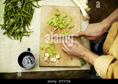 person preparing vegetables slicing spring onions Stock Photo