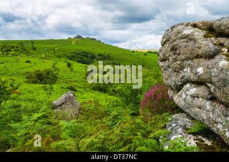 Houndtor viewed over moorland of Dartmoor National Park, Devon, England. Stock Photo