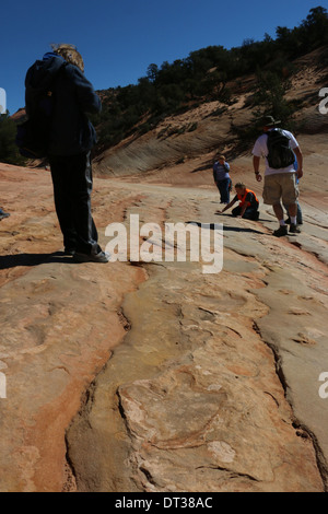 fossil Dinosaur footprint on stripped layered sandstone rock, southern Utah Stock Photo