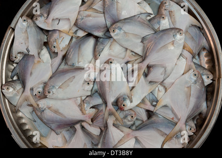 Outdoor market stall in Yangon, Myanmar. Fresh fish in a basket. Stock Photo