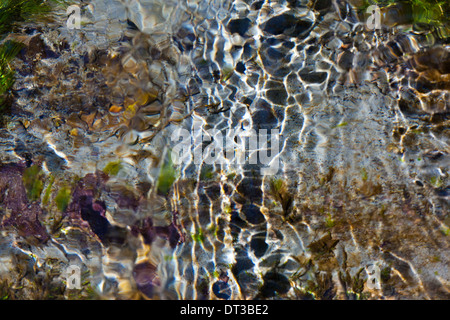 Light and shadow on ripples in a shallow section of the Sol Duc River, Olympic National Park, USA Stock Photo