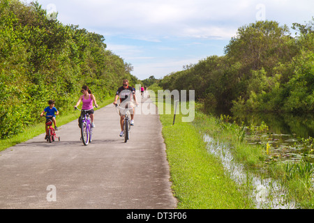 Miami Florida,Everglades National Park,Shark Valley,Tram Tour Trail,bike,bicycles,man men male,father,woman female women,mother,boy boys,male kid kids Stock Photo