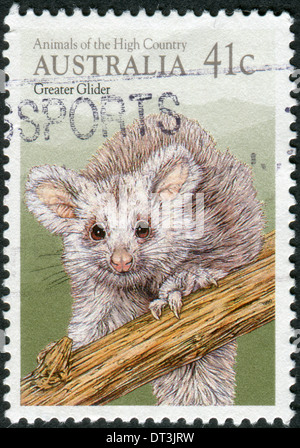 Postage stamp printed in Australia shows a marsupial, the greater glider (Petauroides volans) Stock Photo