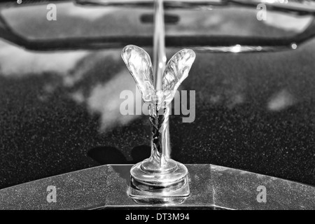 The famous emblem 'Spirit of Ecstasy' on a Rolls-Royce Corniche Stock Photo