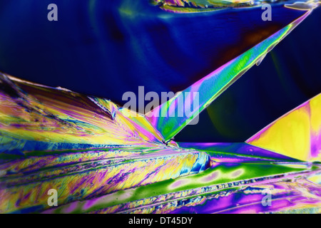 Microcrystals of tartaric acid in polarized light Stock Photo