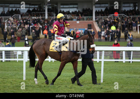 Newbury, Berkshire, UK. 08th Feb, 2014. Harry Topper winner of the Denman Chase during The Betfair Super Saturday Meeting at Newbury Racecourse Credit:  Action Plus Sports/Alamy Live News Stock Photo