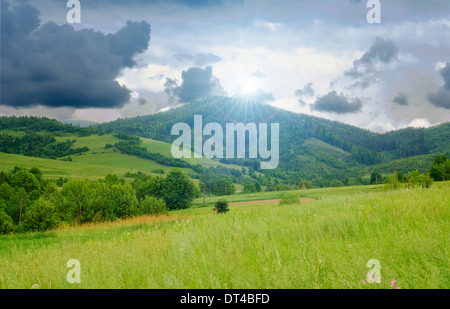 Landscape from meadow with yellow flowers and deep blue sky Stock Photo