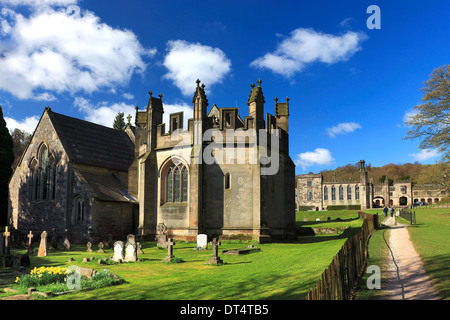 Spring Daffodils, Church of the Holy Cross and Ilam Hall in the village of Ilam, Staffordshire, Peak, District, Stock Photo