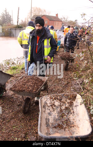 Burrowbridge, Somerset, UK. 9th Feb 2014. Villagers and Sikh charity volunteers carrying wood chippings in wheelbarrows to stabilise the only footpath that links the two halves of the village the path runs alongside the swollen River Parrett. Stock Photo