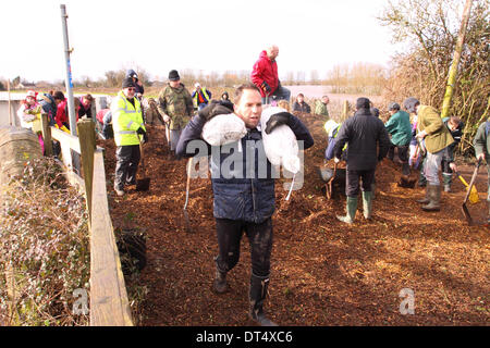 Burrowbridge, Somerset, UK. 9th Feb 2014. Villagers and volunteers carrying sandbags and shoveling wood chippings into wheelbarrows for volunteers to stabilise the only footpath that links the two halves of the village the path runs alongside the swollen River Parrett. Stock Photo